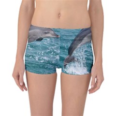 Dolphin Reversible Boyleg Bikini Bottoms by trendistuff