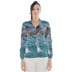 Dolphin Wind Breaker (women)