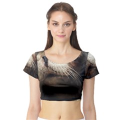 Cute Sea Lion Short Sleeve Crop Top