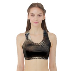 Cute Sea Lion Women s Sports Bra With Border