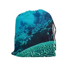 Coral Reefs 2 Drawstring Pouches (extra Large)