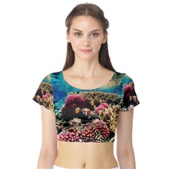 Coral Reefs 1 Short Sleeve Crop Top