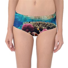 Coral Reefs 1 Mid-waist Bikini Bottoms by trendistuff