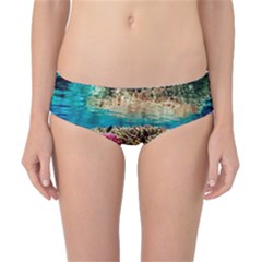 Coral Reefs 1 Classic Bikini Bottoms