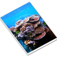 Coral Outcrop 2 Large Memo Pads by trendistuff