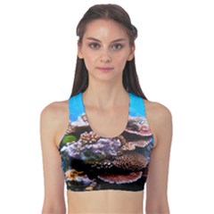 Coral Outcrop 2 Sports Bra