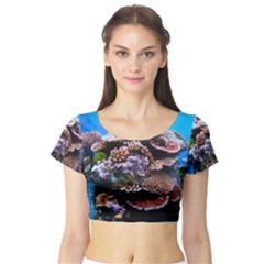 Coral Outcrop 2 Short Sleeve Crop Top