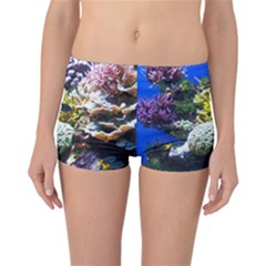 Coral Outcrop 1 Reversible Boyleg Bikini Bottoms