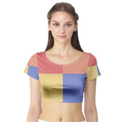 4 Squares Short Sleeve Crop Top