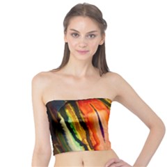 Img 2088 Tube Top