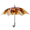 Indian 26 Hook Handle Umbrellas (Medium) View3