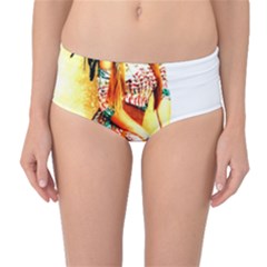 Indian 16 Mid-waist Bikini Bottoms by indianwarrior