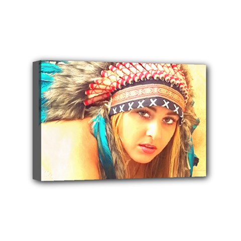 Indian 14 Mini Canvas 6  X 4  by indianwarrior