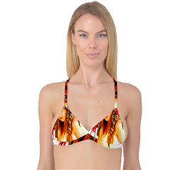 Indian 26 Reversible Tri Bikini Top by indianwarrior