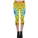 Flower Bouquet Capri Leggings  View1