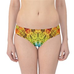 Flower Bouquet Hipster Bikini Bottoms by Zandiepants