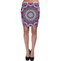 Flower Garden Bodycon Skirts View1