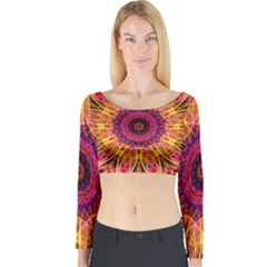 Gemstone Dream Long Sleeve Crop Top by Zandiepants