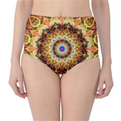 Ochre Burnt Glass High-waist Bikini Bottoms by Zandiepants