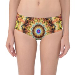 Ochre Burnt Glass Mid-waist Bikini Bottoms by Zandiepants