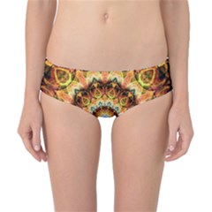 Ochre Burnt Glass Classic Bikini Bottoms by Zandiepants