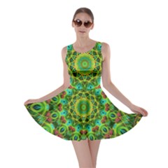 Peacock Feathers Mandala Skater Dress by Zandiepants