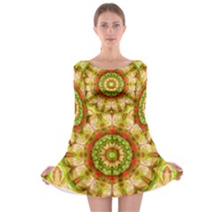 Red Green Apples Mandala Long Sleeve Skater Dress by Zandiepants