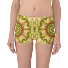 Red Green Apples Mandala Boyleg Bikini Bottoms by Zandiepants