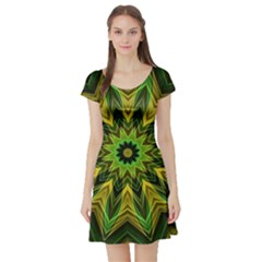 Woven Jungle Leaves Mandala Short Sleeve Skater Dress by Zandiepants