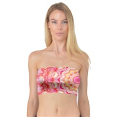 Yellow Pink Romance Bandeau Top by Zandiepants