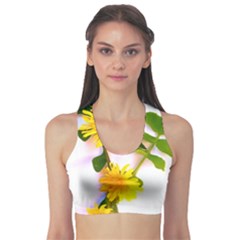 Margaritas Bighop Design Sports Bra