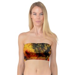 Jandi Bandeau Top by 20JA