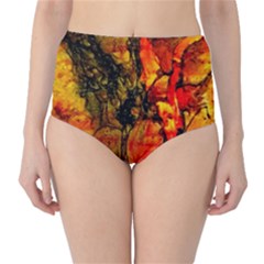 Jandi High-waist Bikini Bottoms by 20JA