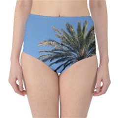 Tropical Palm Tree  High-waist Bikini Bottoms by BrightVibesDesign