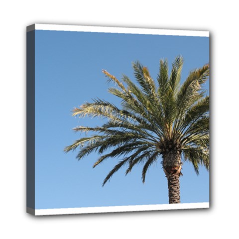 Tropical Palm Tree  Mini Canvas 8  X 8  by BrightVibesDesign