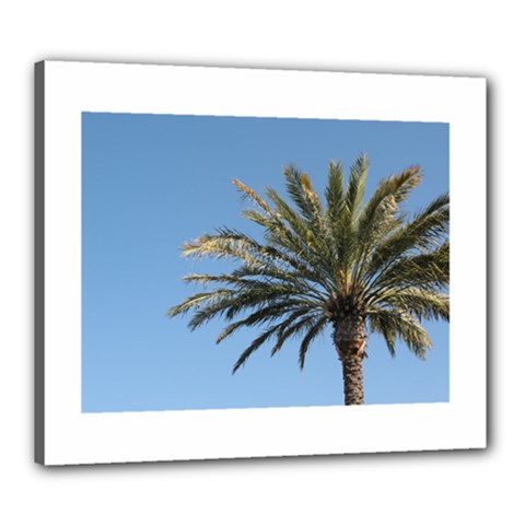 Tropical Palm Tree  Canvas 24  X 20  by BrightVibesDesign