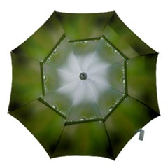 After the rain Hook Handle Umbrellas (Small)