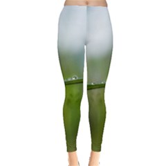 After The Rain Leggings 