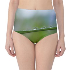 After the rain High-Waist Bikini Bottoms