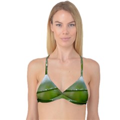 After The Rain Reversible Tri Bikini Top