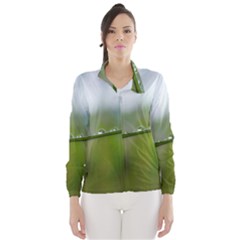 After the rain Wind Breaker (Women)