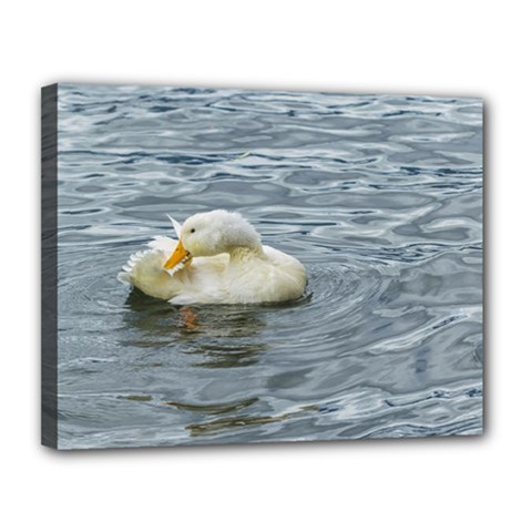 White Duck Preening At Lake Print Canvas 14  X 11  by dflcprints