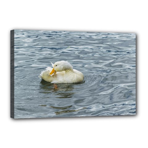 White Duck Preening At Lake Print Canvas 18  X 12  by dflcprints