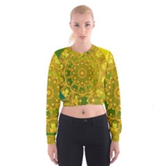 Yellow Green Abstract Wheel Of Fire Women s Cropped Sweatshirt