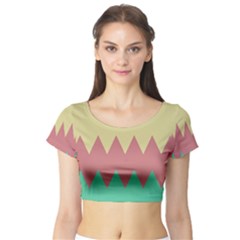 Retro Chevrons     Short Sleeve Crop Top