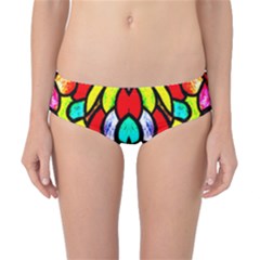 Bi-polar Sun Classic Bikini Bottoms