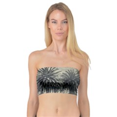 Butterflies Dark Pattern Bandeau Top