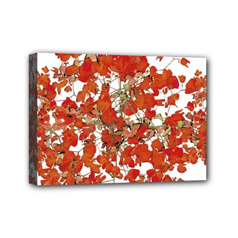 Vivid Floral Collage Mini Canvas 7  X 5  by dflcprints