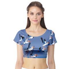 Abstract Pelicans Seascape Tropical Pop Art Short Sleeve Crop Top (tight Fit)