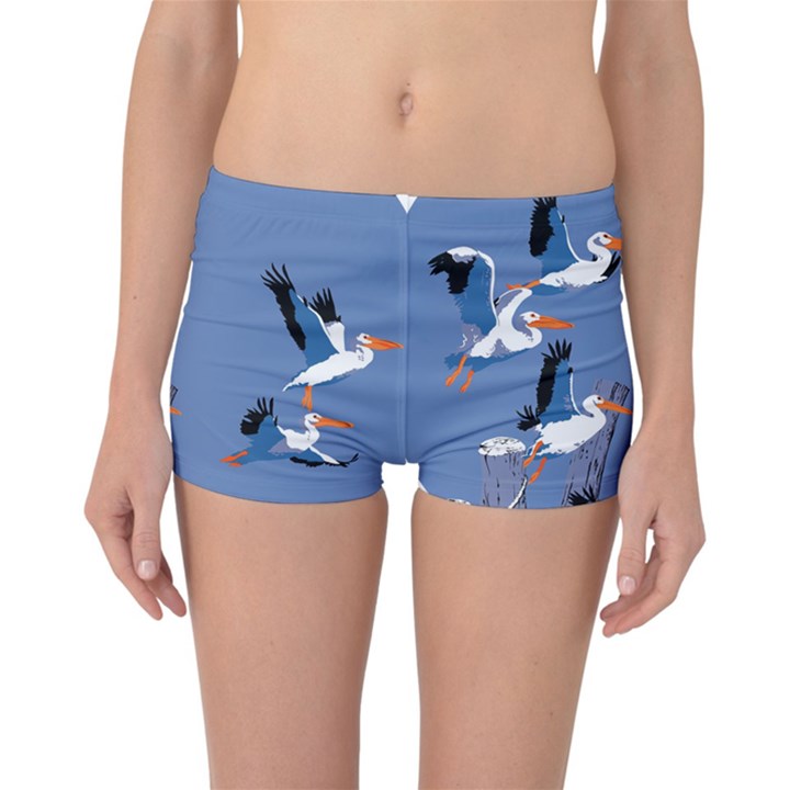 abstract Pelicans seascape tropical pop art Reversible Boyleg Bikini Bottoms